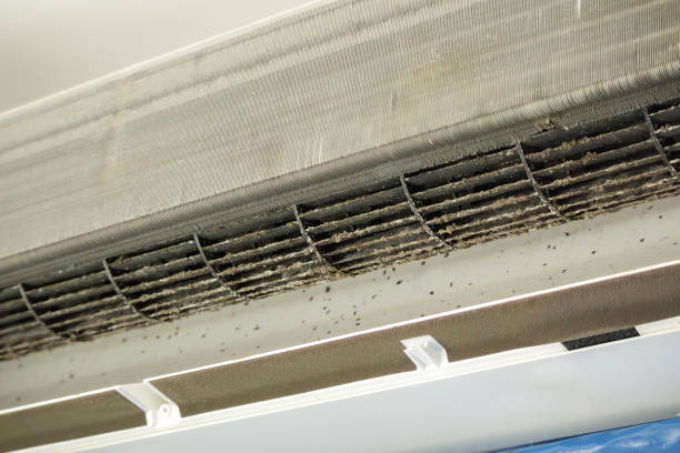 Best Home Air Vent Cleaning  in Jackson, SC